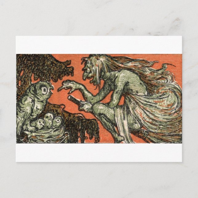 Cartão Postal A bruxa malvada e as corujas (Frente)