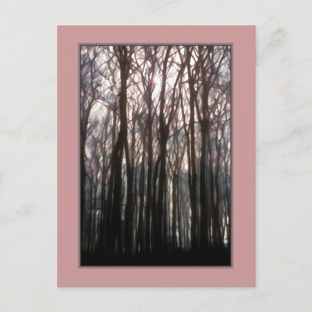 Cartão Postal A Catedral da Floresta Inspiradora Foto (Frente)