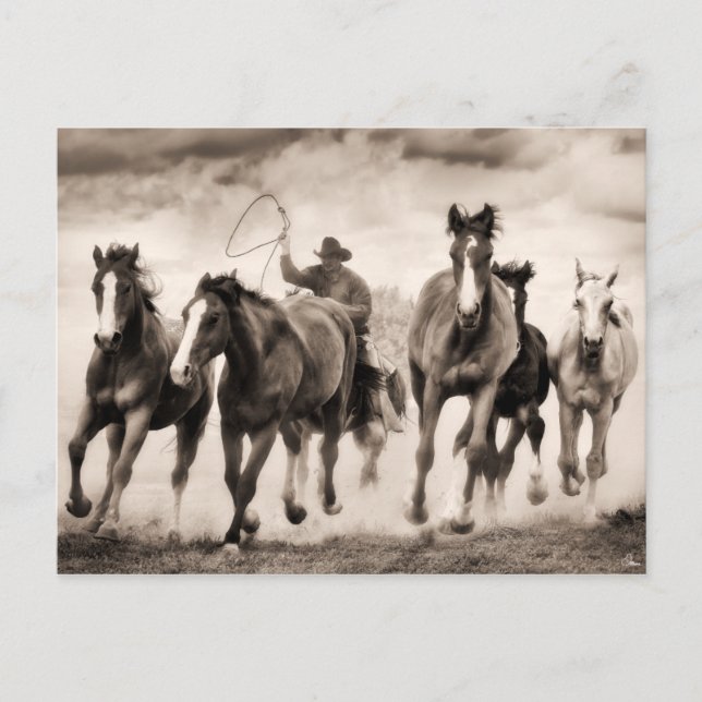 Cartão Postal A Chase I (Frente)