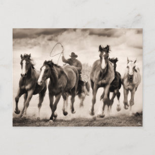 Cartão Postal A Chase I