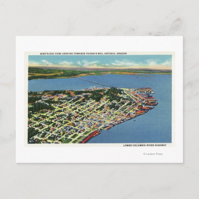 Cartão Postal A cidade olhando para a Baía de Young (Frente)