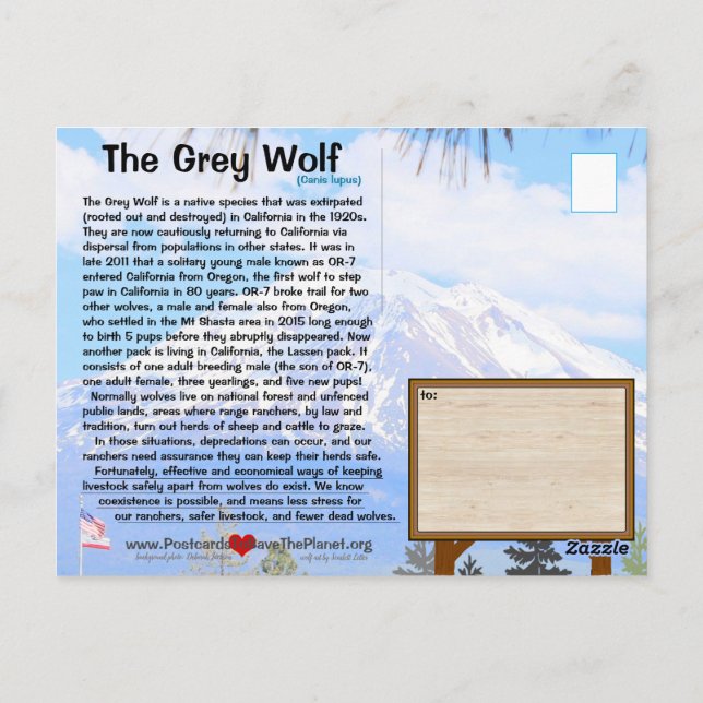 Cartão Postal A Cinza Wolf está ameaçada FEBhh sem fazer nada (Verso)