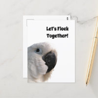A Cockatoo do Dia da Amizade Junta Foto Engraçada