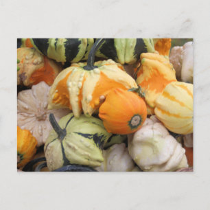 Cartão Postal A Colheita