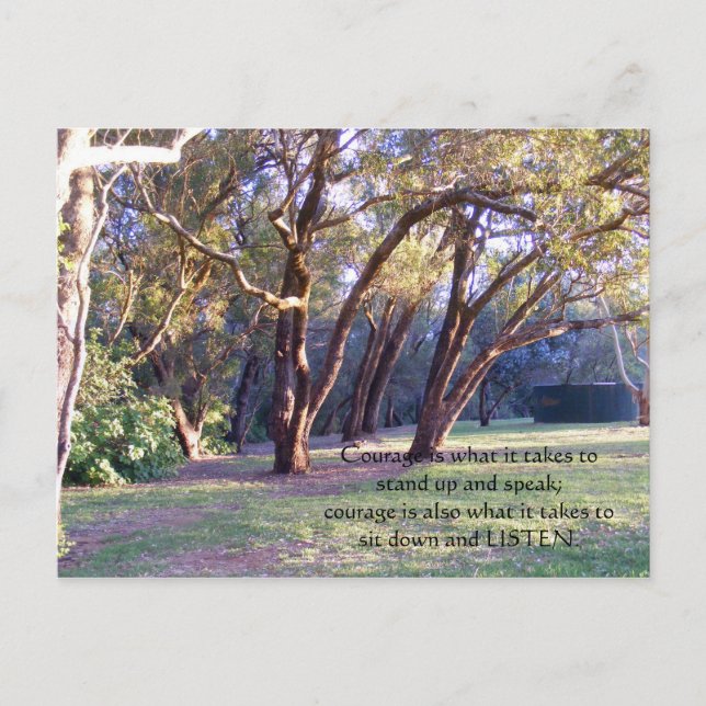 Cartão Postal A coragem é o que toma para se levantar… (Frente)