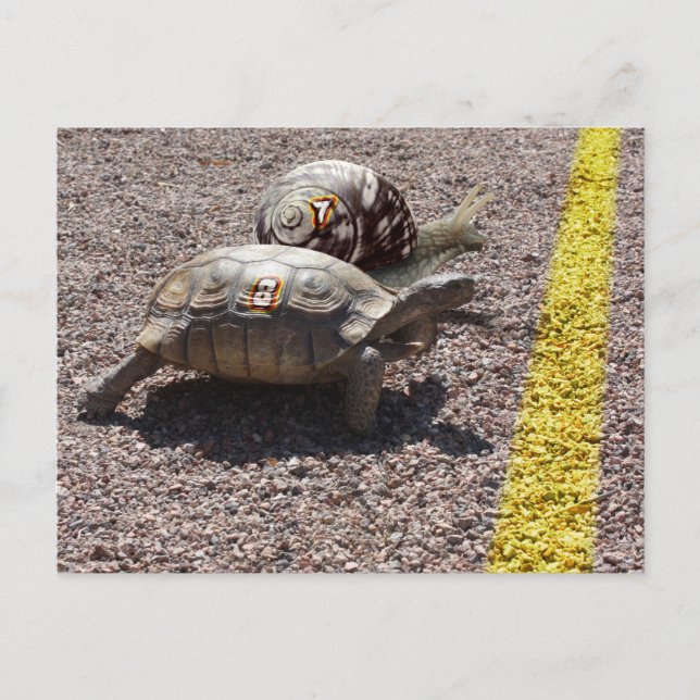 Cartão Postal A Corrida do Excelente (Frente)