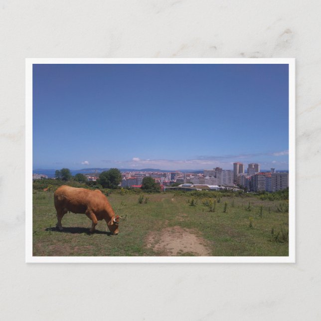 Cartão Postal A Coruna, Galicia (Espanha) (Frente)