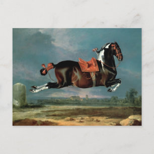 Cartão Postal A criação do cavalo malhado "Ceherói"