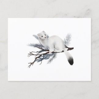 Cartão Postal A cute winter weasel perched on a branch
