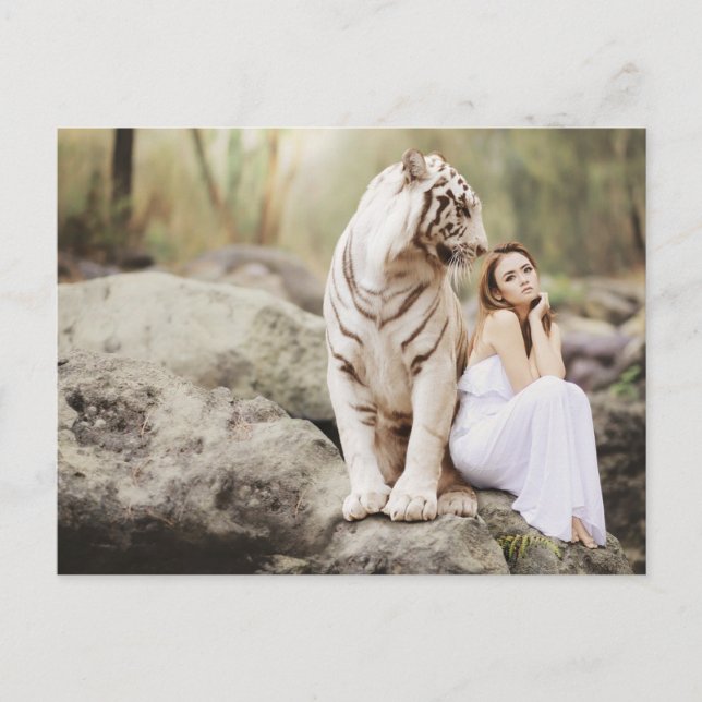 Cartão Postal A Dama e o Tigre  -- (Frente)