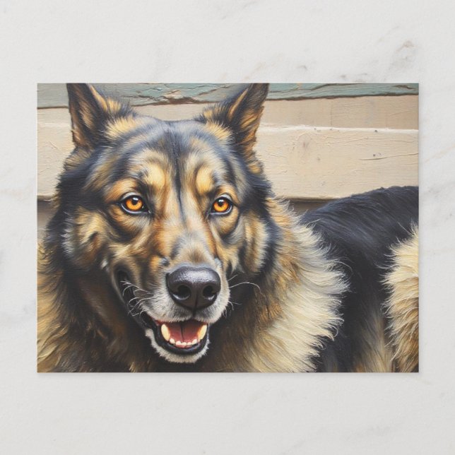 Cartão Postal A domestic dog looks trustingly into the camera. (Frente)