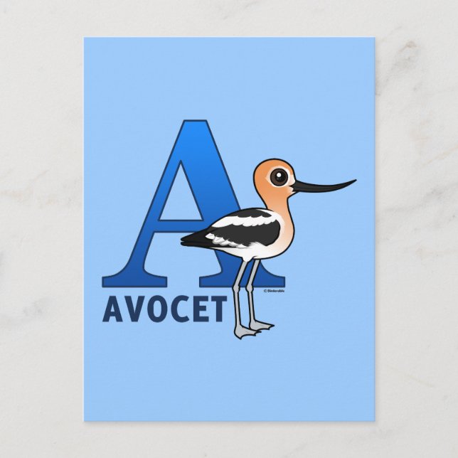 Cartão Postal A é para a Avocet (Frente)