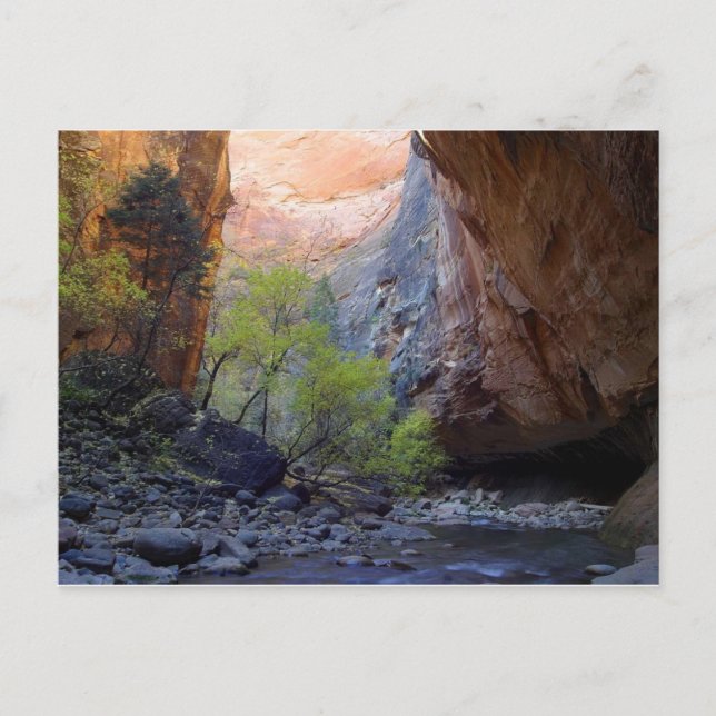 Cartão Postal A entrada (Frente)