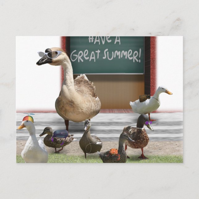 Cartão Postal A escola saiu, passarinhos com o professor Goose (Frente)