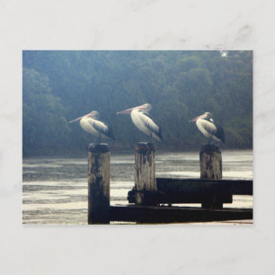 Cartão Postal a espera