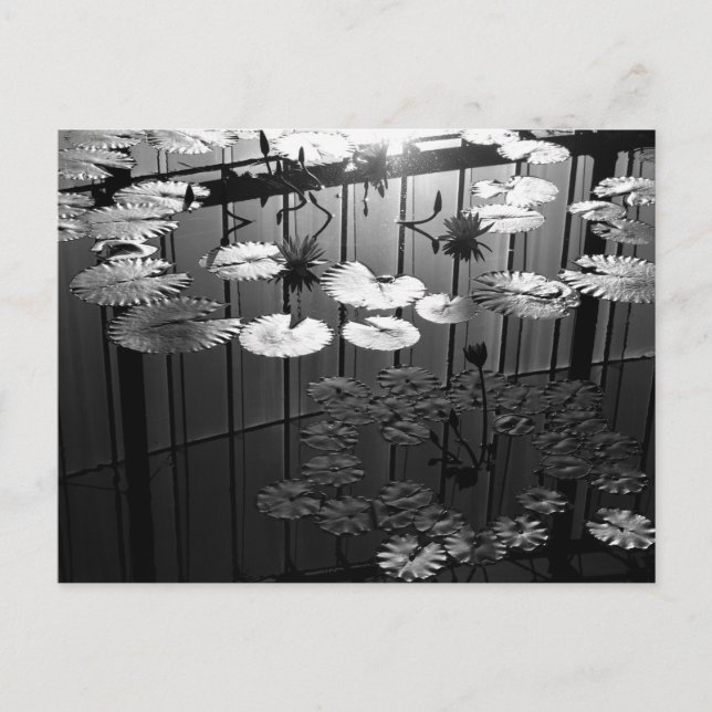 Cartão Postal A Estufa: Shinjuku Gyoen, Tóquio (Frente)