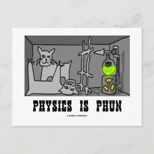 Cartão Postal A Física é o Phun (Divertido) (Pensamento de Gato 
