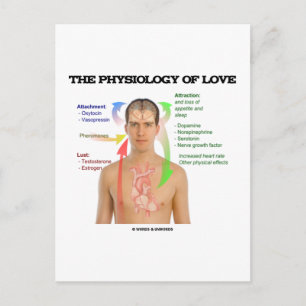 Cartão Postal A Fisiologia Do Amor (Sintomas Do Amor)