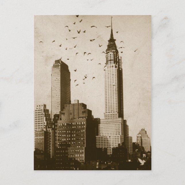 Cartão Postal A flock of birds flying (Frente)