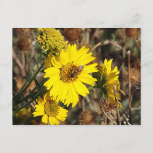 Cartão Postal A Flor e a Abelha