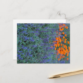 Cartão Postal A flower garden of blue salvia and marigolds.