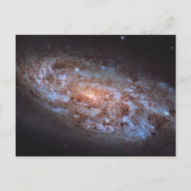 Cartão Postal A Forja Estelar (Frente)