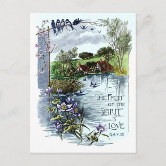 Cartão Postal A Fruta Do Espírito É O Amor