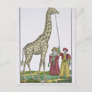 Cartão Postal A Girafa Apresentada ao Rei
