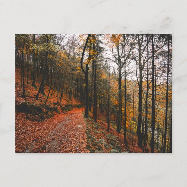 CARTÃO POSTAL A GLEN DO DIABO, MONTANHAS WICKLOW, IRLANDA (Frente)