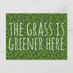 Cartão Postal A Grama Está Mais Verde Aqui