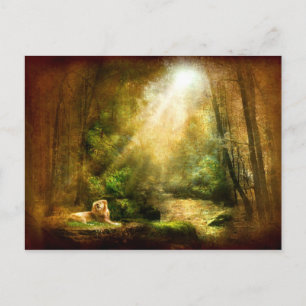 Cartão Postal A Humildade do Rei