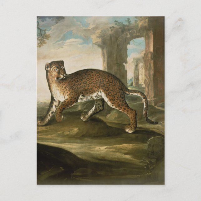 Cartão Postal A Jaguar (Frente)