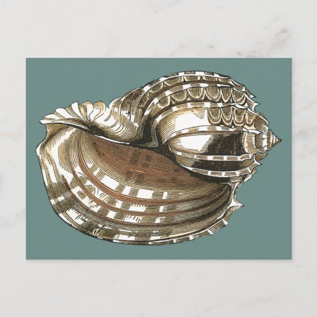 Cartão Postal A Joia do Oceano (Frente)