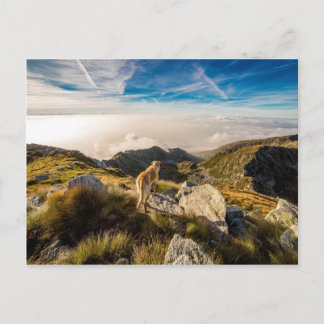 Cartão Postal A jornada