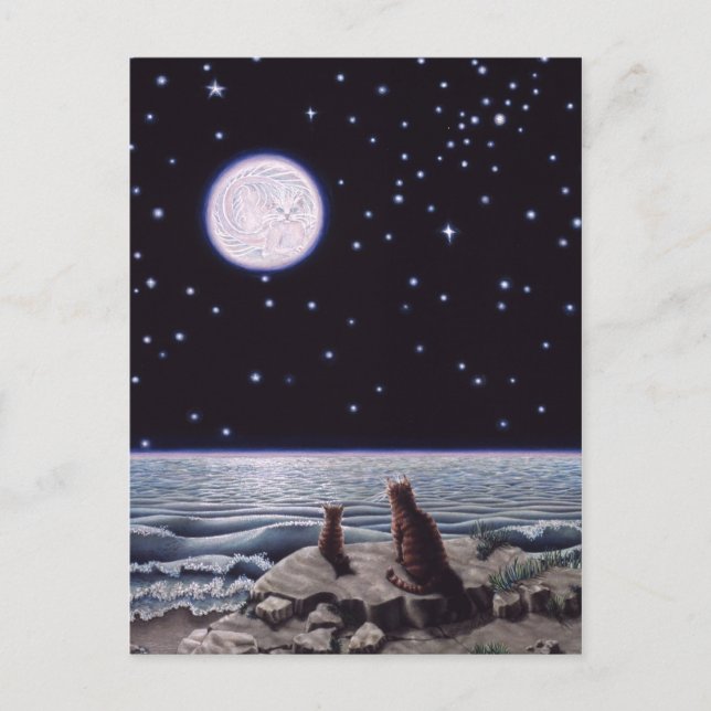 Cartão Postal À Luz da Lua de Peixe Gato (Frente)