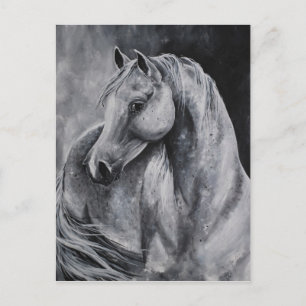 Cartão Postal A luz da manhã