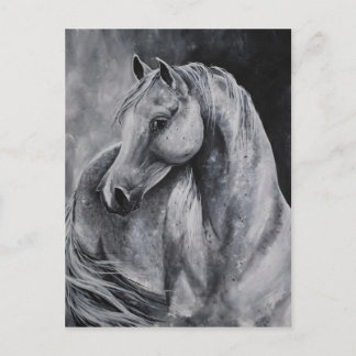 Cartão Postal A luz da manhã