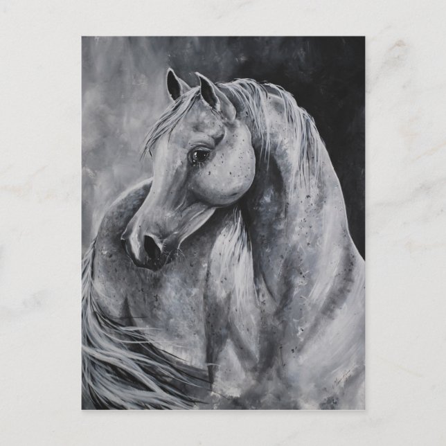 Cartão Postal A luz da manhã (Frente)