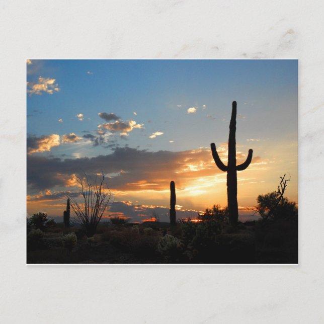Cartão Postal A luz desvanece-se em uma chama (Frente)