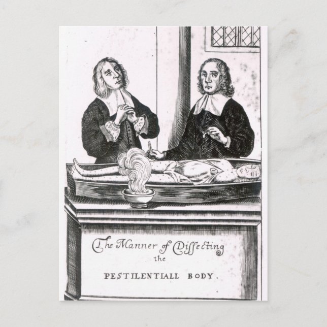Cartão Postal A maneira de dissecar o corpo Pestilencial (Frente)