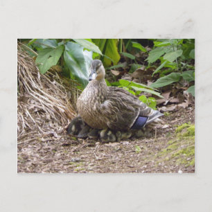 Cartão Postal A melhor mãe do mundo