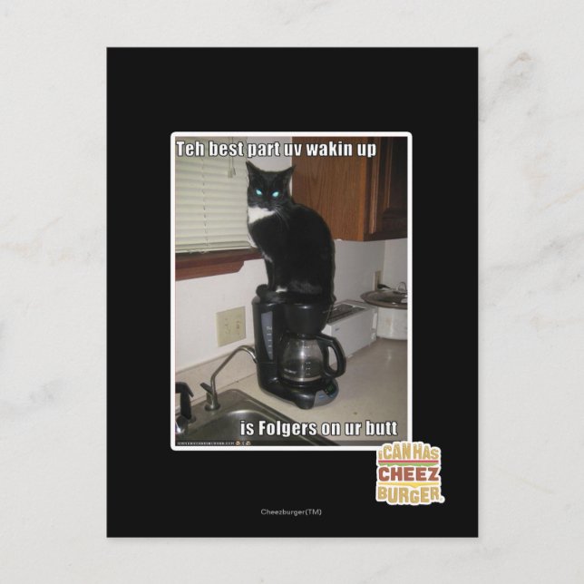 Cartão Postal a melhor parte do uv desperta (Frente)