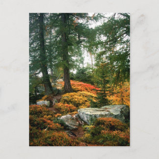 CARTÃO POSTAL A MINHA VIDA NÃO É ESTA HORA VERTICAL