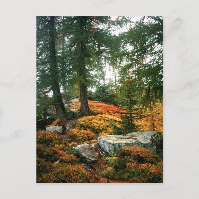 CARTÃO POSTAL A MINHA VIDA NÃO É ESTA HORA VERTICAL (Frente)