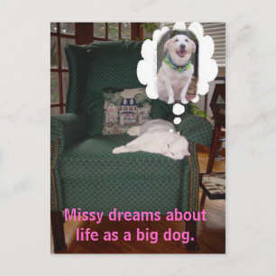 Cartão Postal A Missy sonha com a vida como um cão grande.
