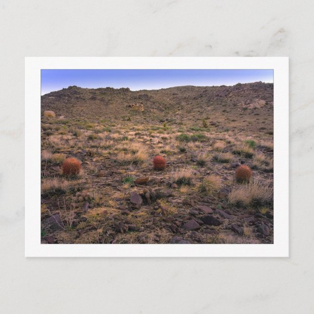 Cartão Postal "A Morning Trifecta" (Frente)