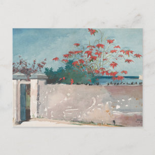 Cartão Postal A Muro, Nassau, por Winslow Homer