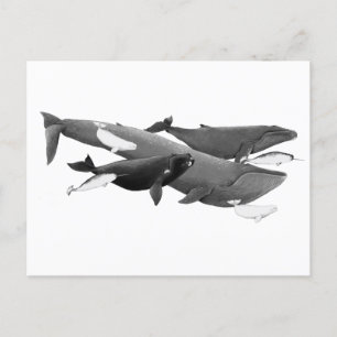 Cartão Postal A Natação Da Arte De Ilustração De Baleias