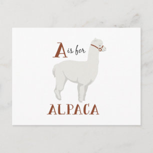 Cartão Postal A para a alpaca