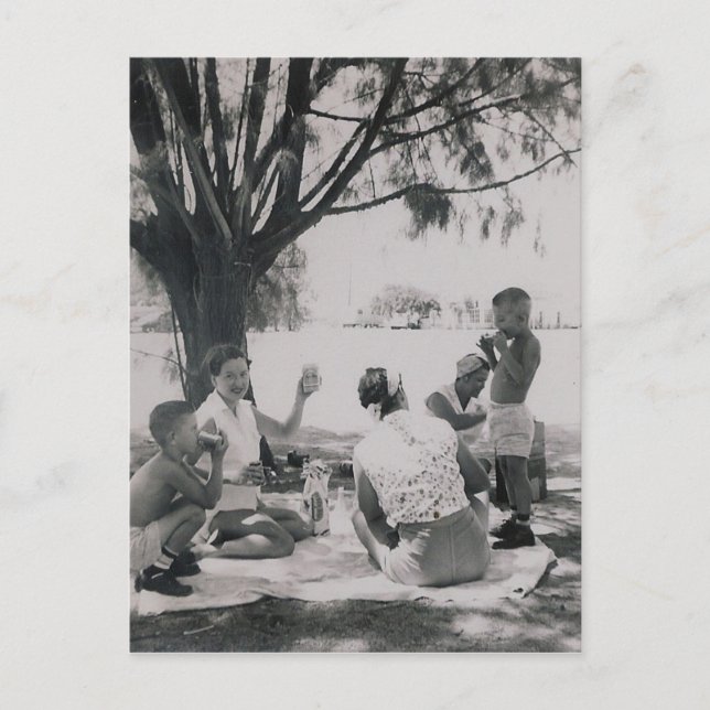 CARTÃO POSTAL A PICNIC Nº 25 (Frente)